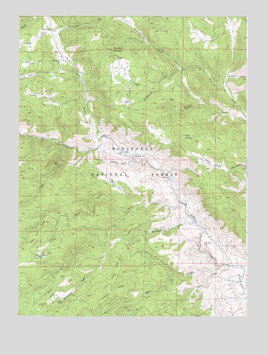 Buckhorn Mountain, CO USGS Topographic Map