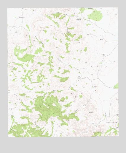 Buckhorn Mountain, TX USGS Topographic Map
