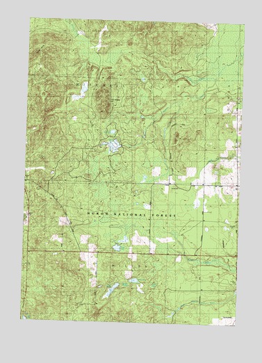 Bucks Pond, MI USGS Topographic Map