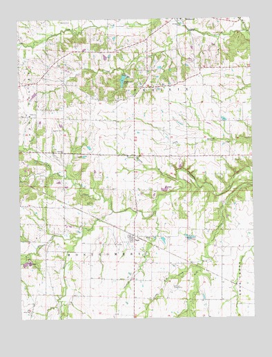 Buell, MO USGS Topographic Map