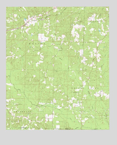 Buena Vista, AR USGS Topographic Map