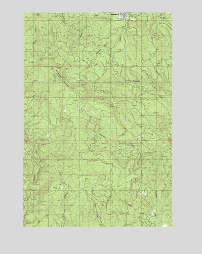 Abernathy Mountain, WA USGS Topographic Map