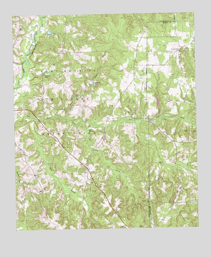 Buena Vista NW, GA USGS Topographic Map