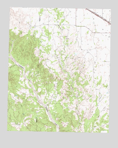 Buffalo Arroyo, TX USGS Topographic Map