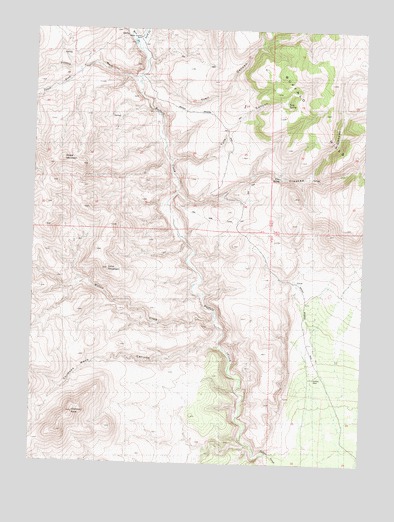 Buffalo Creek, NV USGS Topographic Map