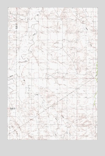 Buffalo Creek SE, MT USGS Topographic Map