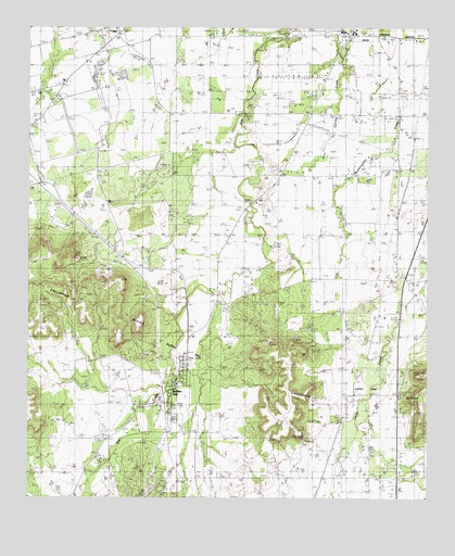 Buffalo Gap, TX USGS Topographic Map