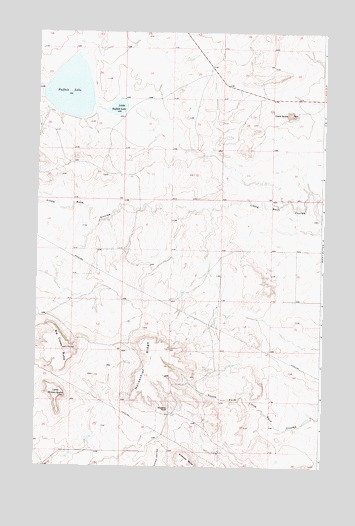 Buffalo Lake, MT USGS Topographic Map