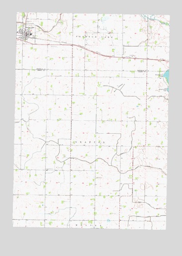 Buffalo Lake, MN USGS Topographic Map