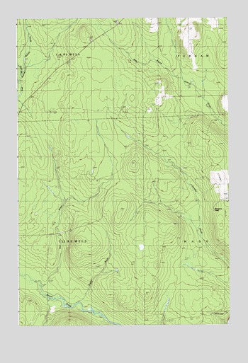 Bull Brook, ME USGS Topographic Map