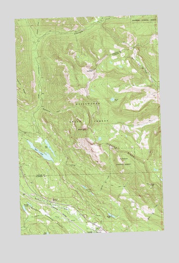 Bull Lake, MT USGS Topographic Map
