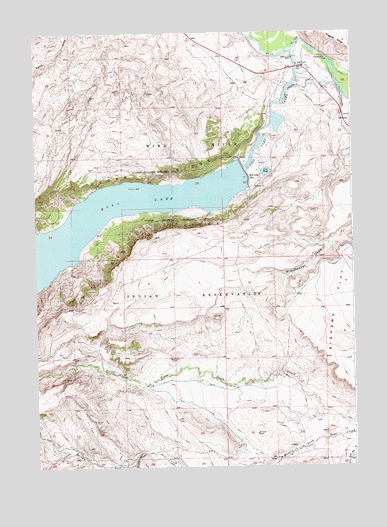 Bull Lake East, WY USGS Topographic Map