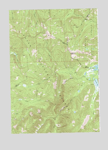 Bull Trout Point, ID USGS Topographic Map