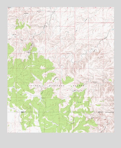 Bullis Spring Ranch, NM USGS Topographic Map