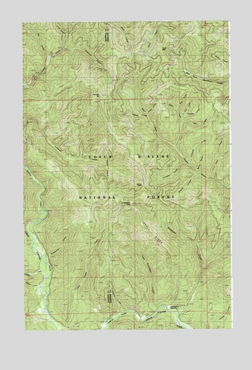 Bumblebee Peak, ID USGS Topographic Map