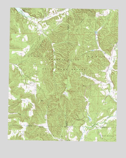 Bunch, OK USGS Topographic Map
