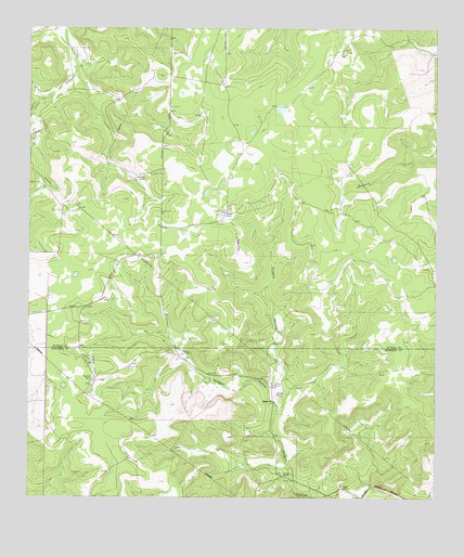 Bundy Ranch, TX USGS Topographic Map