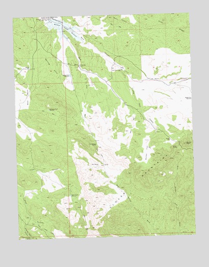 Bunker Peak, NV USGS Topographic Map