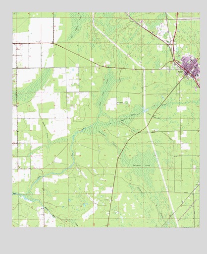 Bunnell, FL USGS Topographic Map