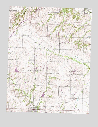 Burlingame, KS USGS Topographic Map
