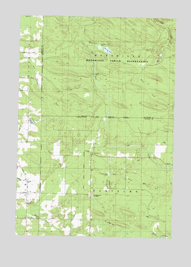 Burney Lake, WI USGS Topographic Map