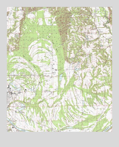 Burnsville, AL USGS Topographic Map