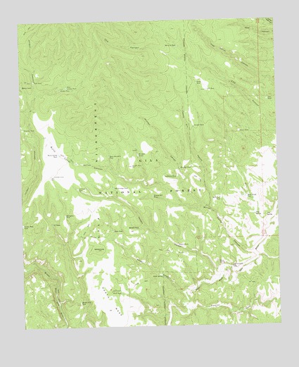 Burnt Corral Canyon, NM USGS Topographic Map