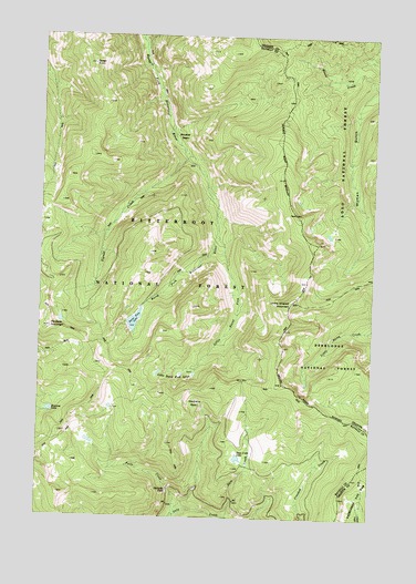 Burnt Fork Lake, MT USGS Topographic Map