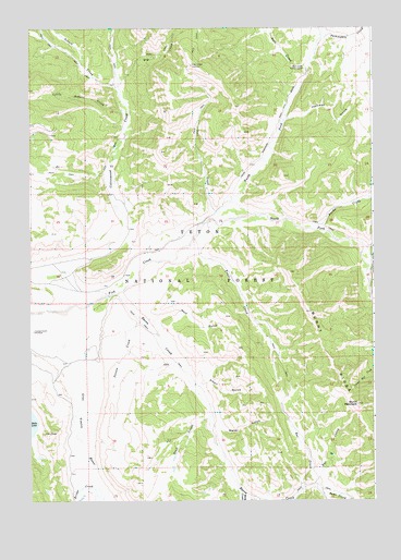 Burnt Mountain, WY USGS Topographic Map