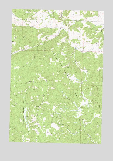 Burnt Mountain, MT USGS Topographic Map