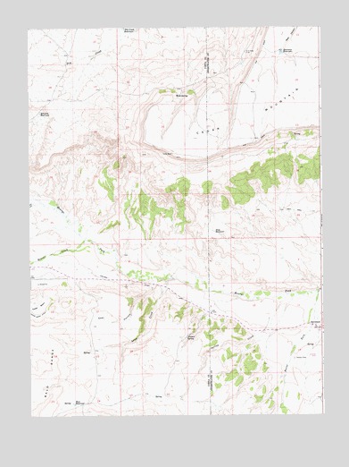 Burntfork, WY USGS Topographic Map