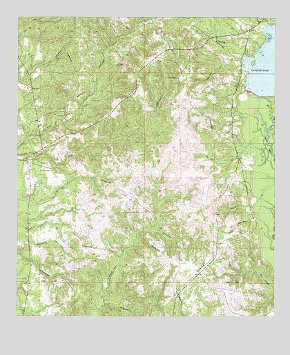 Burr Ferry, LA USGS Topographic Map