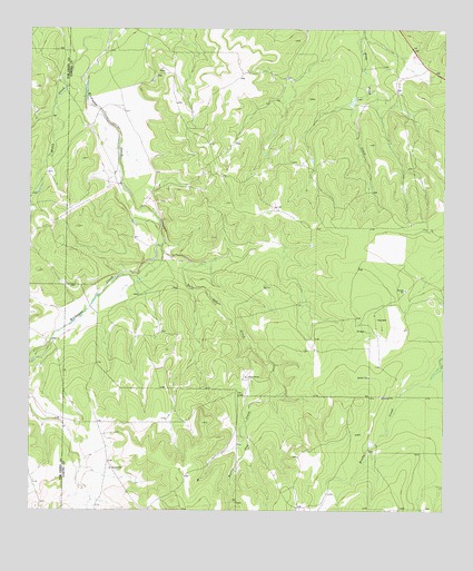 Burr Oak Creek, TX USGS Topographic Map