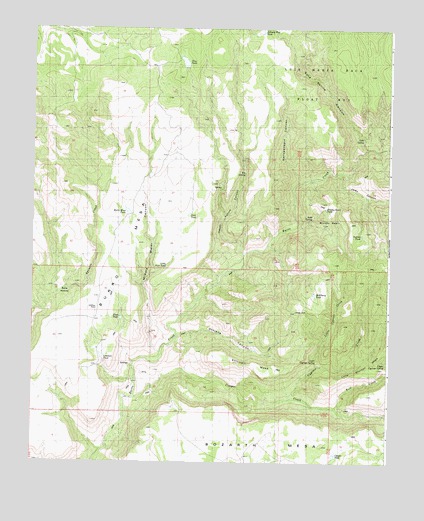 Burro Mesa, AZ USGS Topographic Map