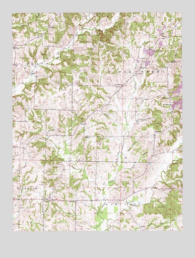 Burton, MO USGS Topographic Map