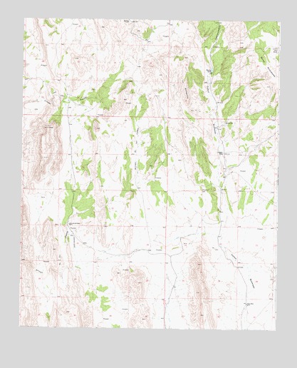 Bustos Well, NM USGS Topographic Map