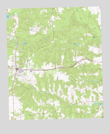 Butler East, GA USGS Topographic Map