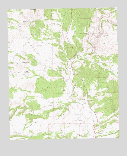 Alma, NM USGS Topographic Map