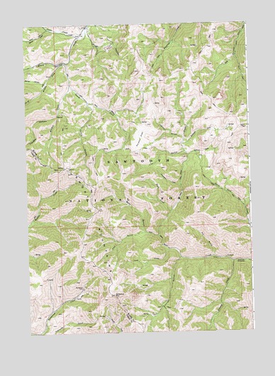 Buttercup Mountain, ID USGS Topographic Map