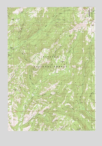 Butterfield Gulch, ID USGS Topographic Map