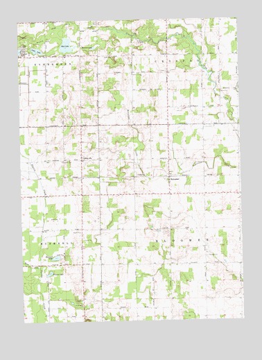 Butternut, MI USGS Topographic Map