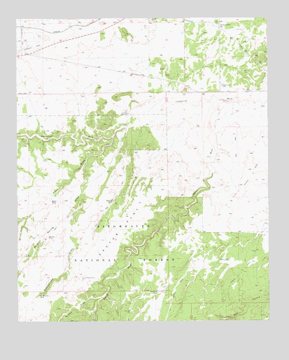 Cactus Flat, AZ USGS Topographic Map