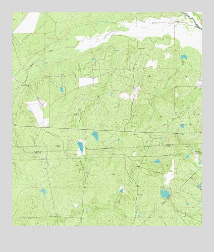 Caiman Creek SE, TX USGS Topographic Map