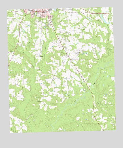 Cairo South, GA USGS Topographic Map