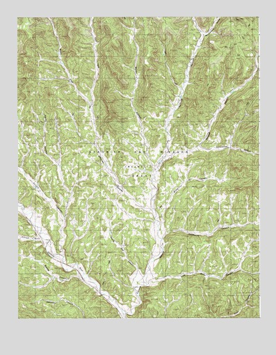 Caliente Canyon South, NM USGS Topographic Map
