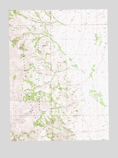 California Mountain, NV USGS Topographic Map