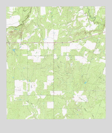 Calliham NW, TX USGS Topographic Map
