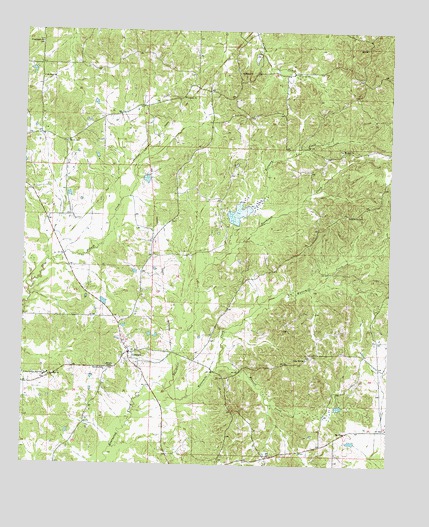 Camden, MS USGS Topographic Map
