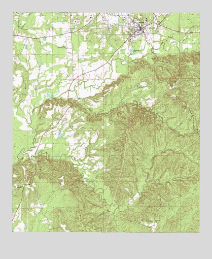 Camden South, AL USGS Topographic Map