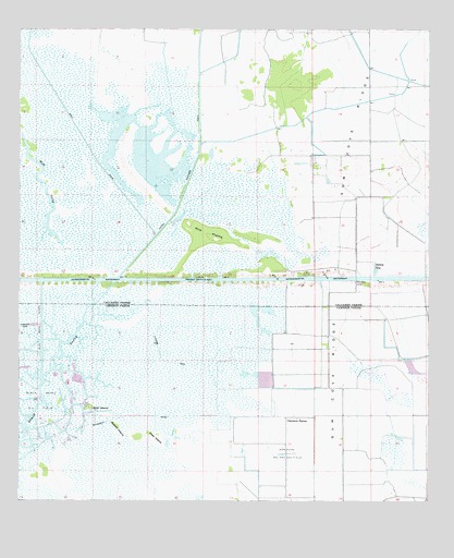Cameron Farms, LA USGS Topographic Map